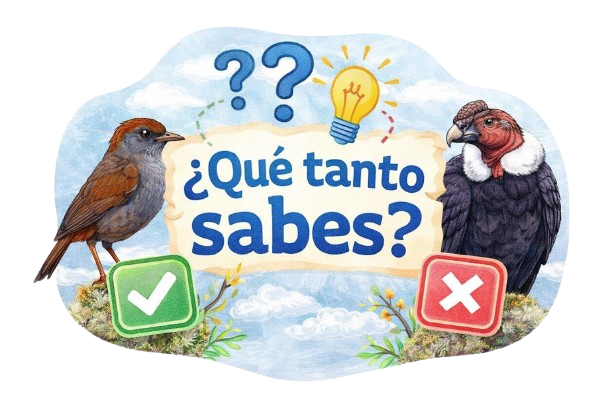 ¿Qué tanto sabes?